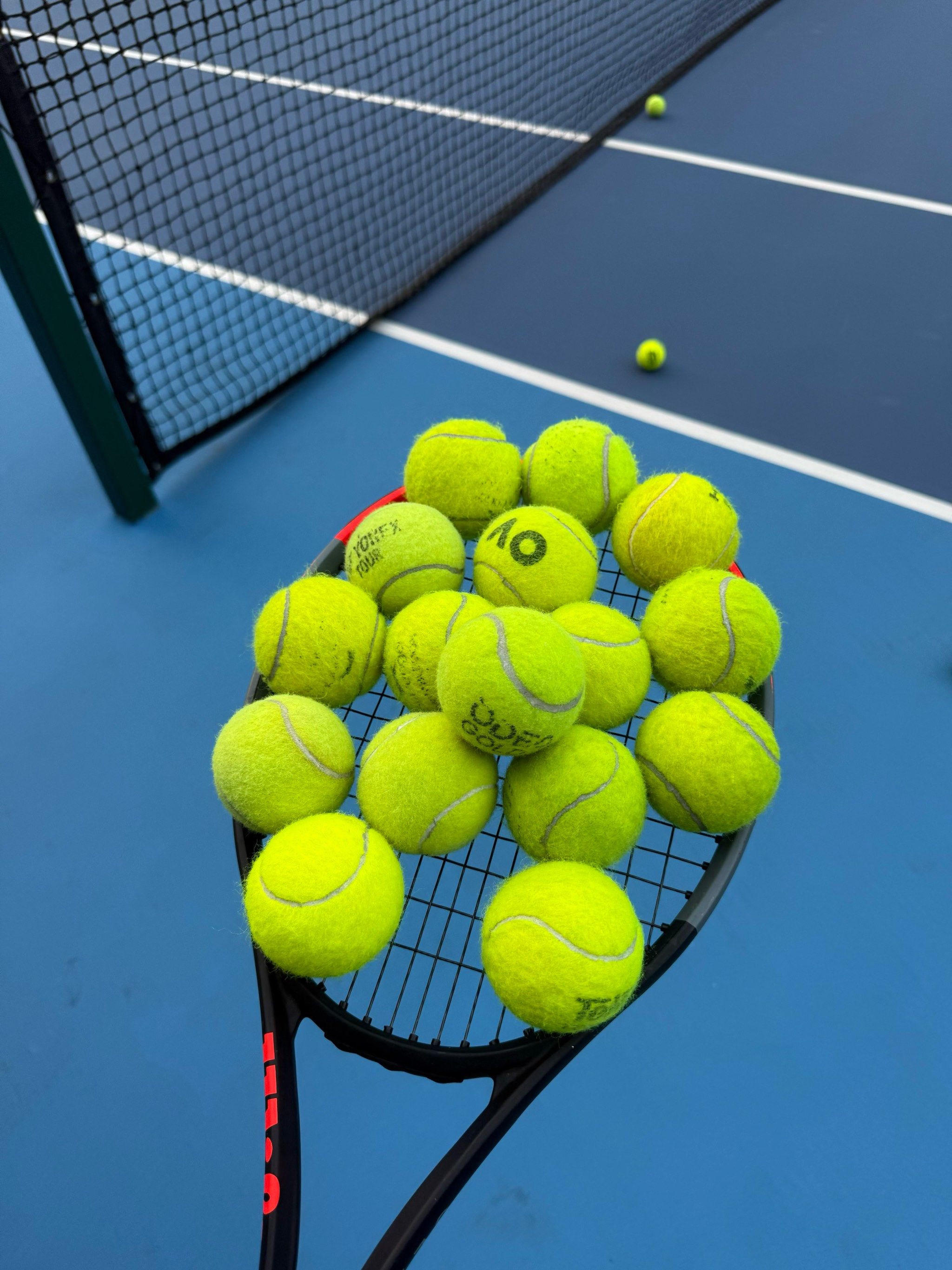 可能的荣誉 可能的荣誉