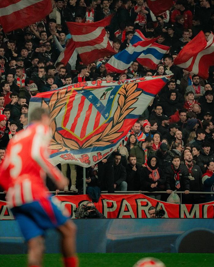 段将力量与 段将力量与